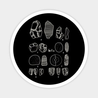 Archeology Stone Collection - Paleontology and Anthropology Magnet